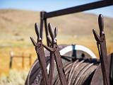 Bodie State Park 021